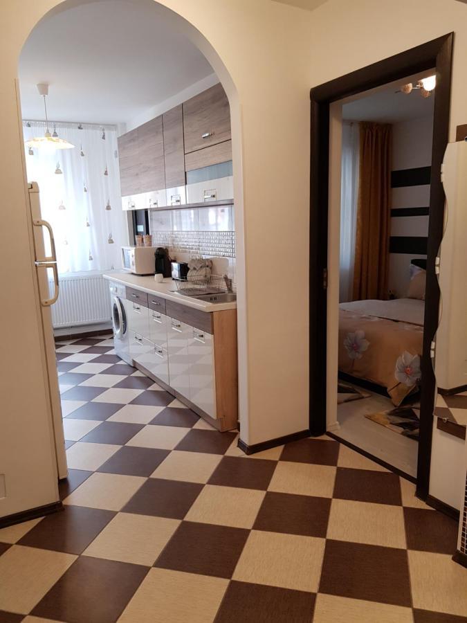 Apartament Sofy2 Băile Herculane Buitenkant foto
