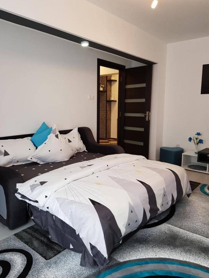 Apartament Sofy2 Băile Herculane Buitenkant foto