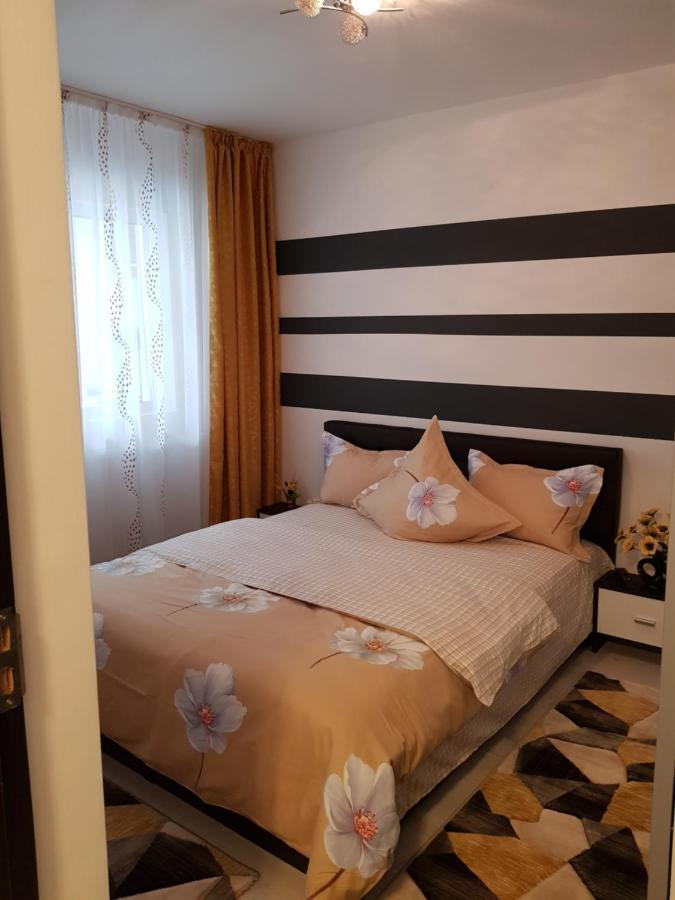 Apartament Sofy2 Băile Herculane Buitenkant foto