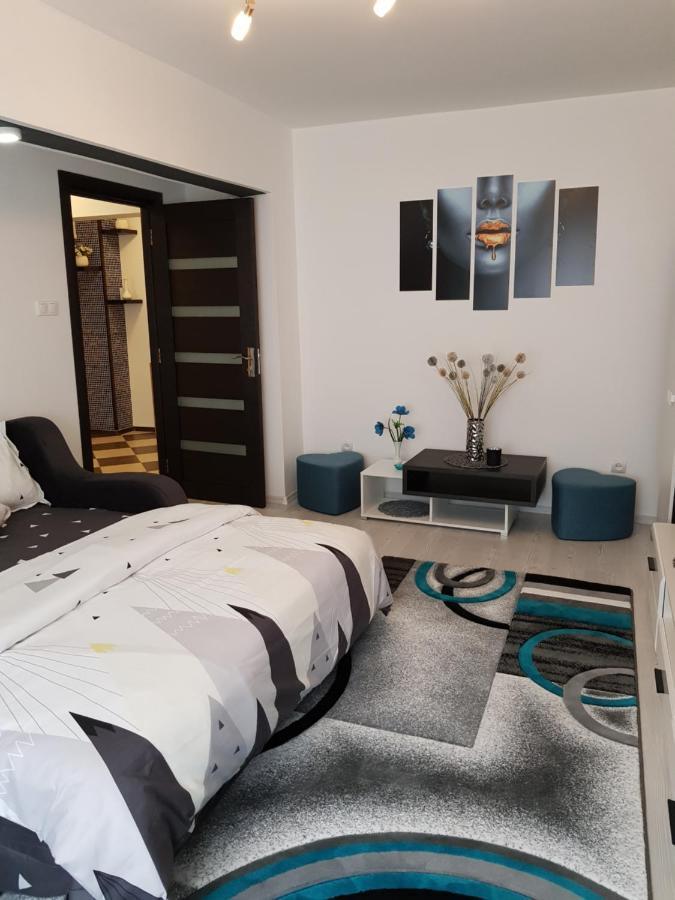 Apartament Sofy2 Băile Herculane Buitenkant foto