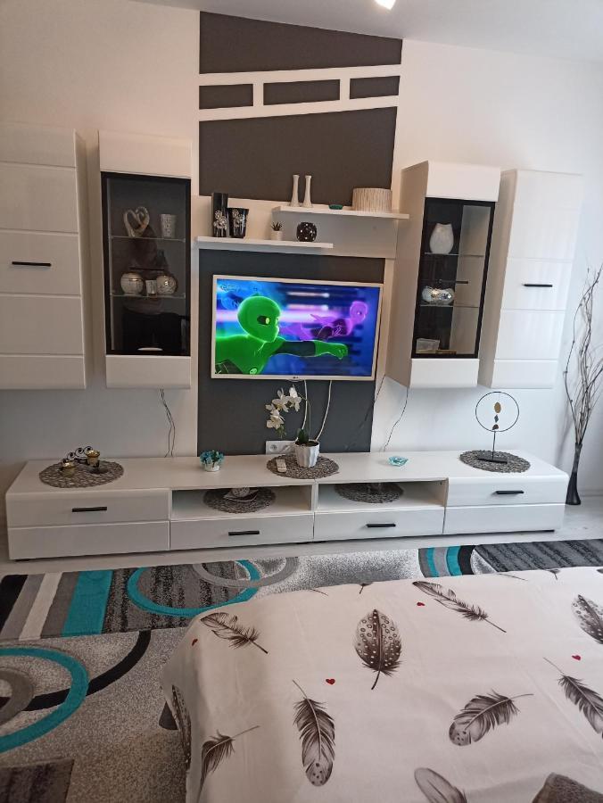 Apartament Sofy2 Băile Herculane Buitenkant foto