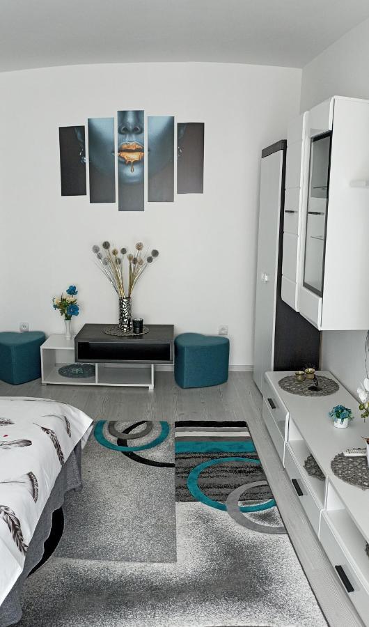 Apartament Sofy2 Băile Herculane Buitenkant foto