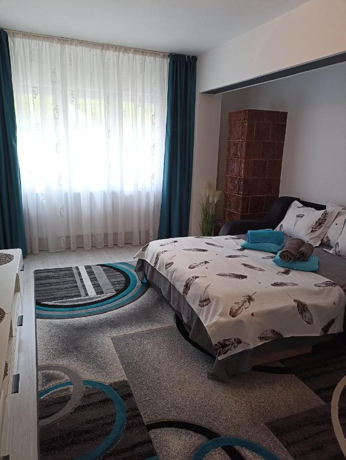 Apartament Sofy2 Băile Herculane Buitenkant foto
